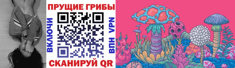 MEGA   Владимир  Галлюциногенные грибы MAGIC MUSHROOMS 
